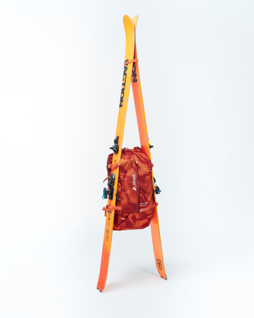 Snow Pro Backpack Db x Orage