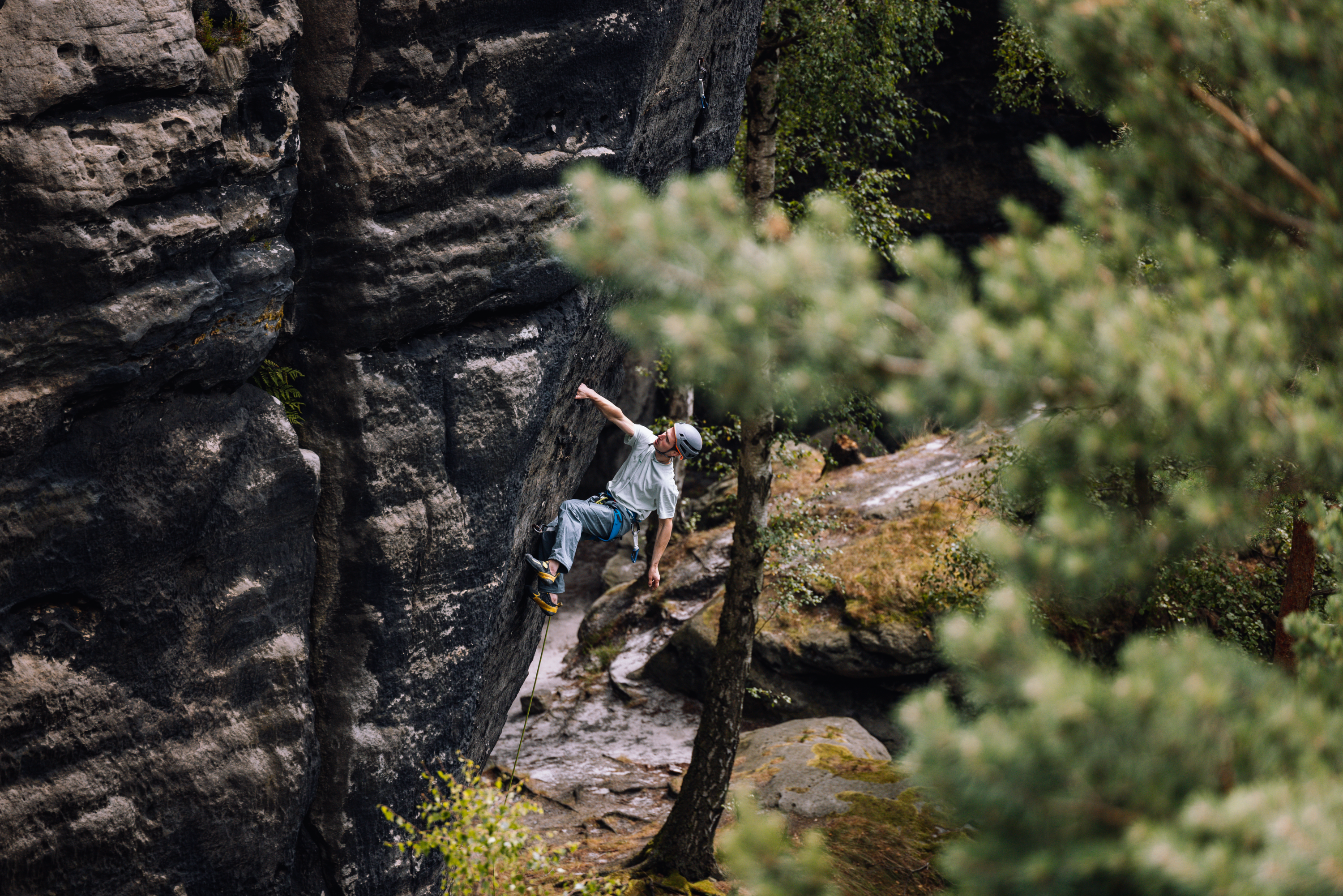 Mammut