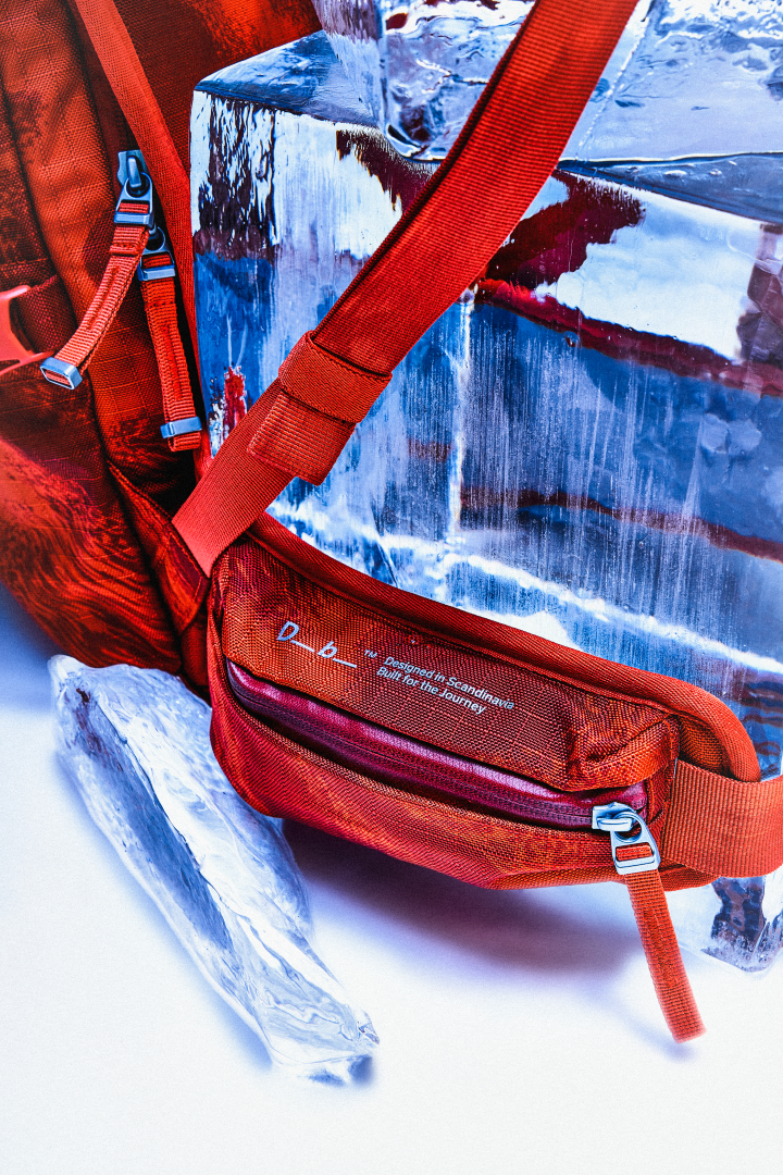 Snow Pro Backpack Db x Orage