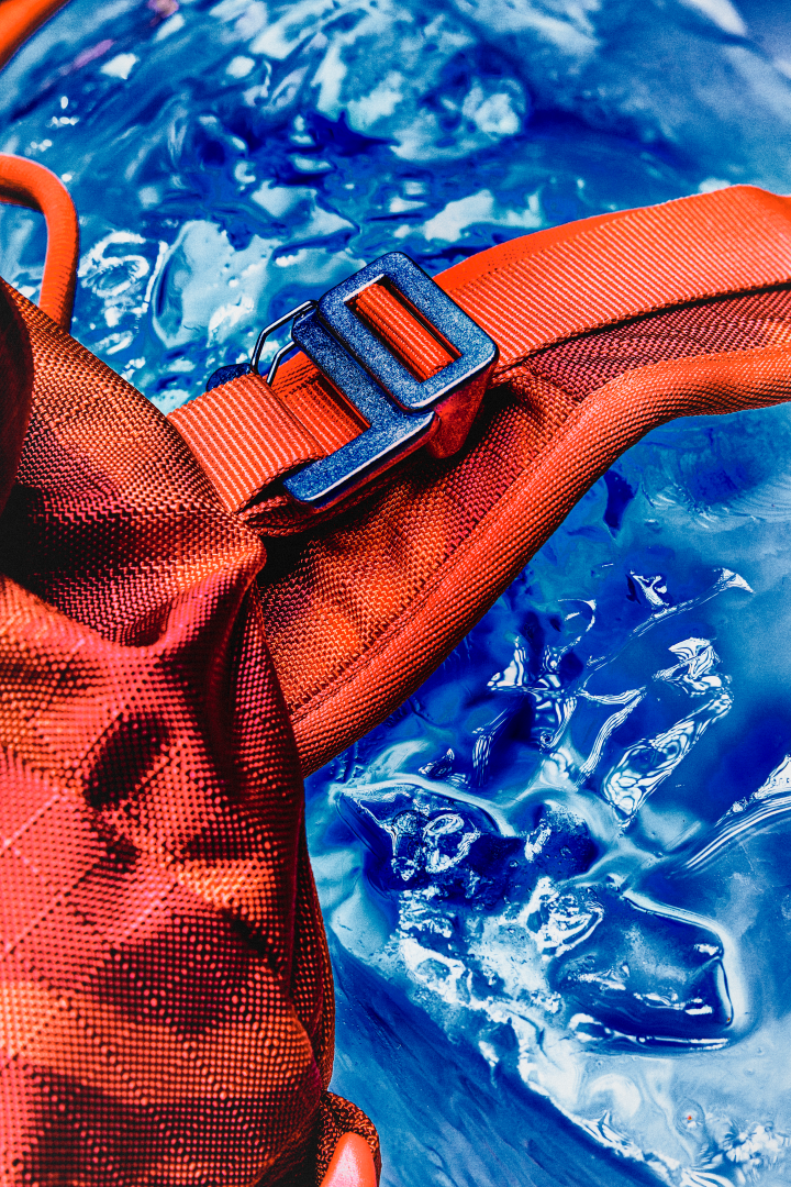 Snow Pro Backpack Db x Orage