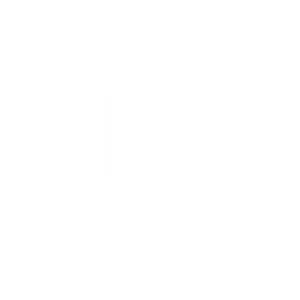 Nitro Snowboards